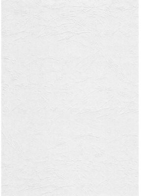 Обложка картонная A4  250г Fellowes® Delta кожа белая