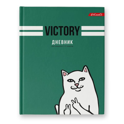 Дневник универсальный Светоч твердая матовая обложка 'Victory'