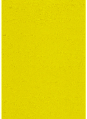 Обложка картонная A4  250г Fellowes® Delta кожа желтая