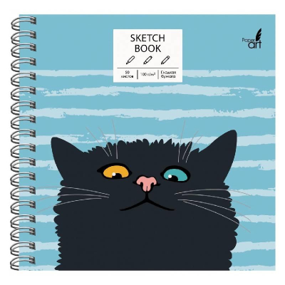 Блокнот для набросков Paper Art Sketch Book 16.5х16.5см 100г  50л на гребне твердая обложка 'Любопытный кот'