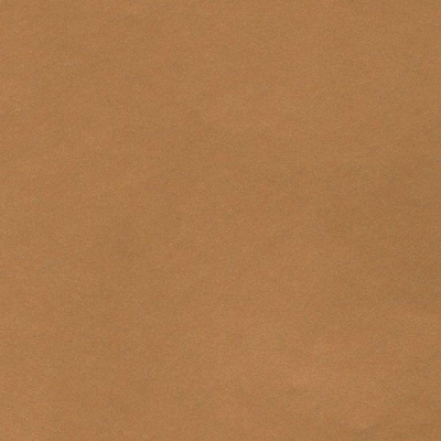 Картон цветной Folia A4  300г коричневый светлый