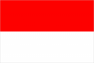 Флажок государства Индонезия 20х10см