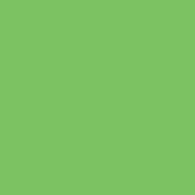 Картон цветной Folia A4  300г зеленый светлый