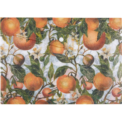 Папка-конверт на кнопке A4 BrunoVisconti® пластиковая 180мкм 'Flora' Oranges