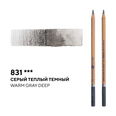 Карандаш акварельный художественный Белые ночи серый теплый темный (831)