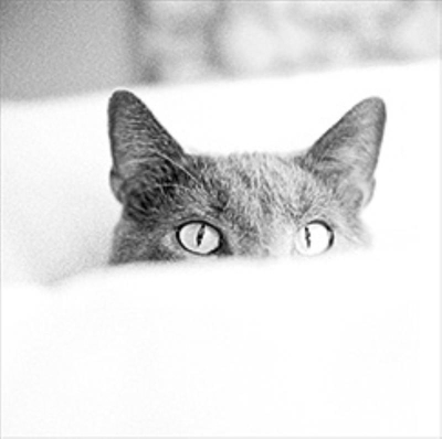 Открытка Лакарт Премиум 150х150мм