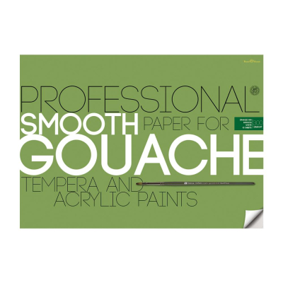 Бумага для акрила/гуаши/темперы A2&nbsp;&nbsp;420х594мм BrunoVisconti® Professional 300г целлюлоза 100% в папке