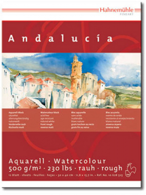 Блокнот для акварели Hahnemuhle Andalucia 24х32см 500г 12л холст крупное зерно на склейке
