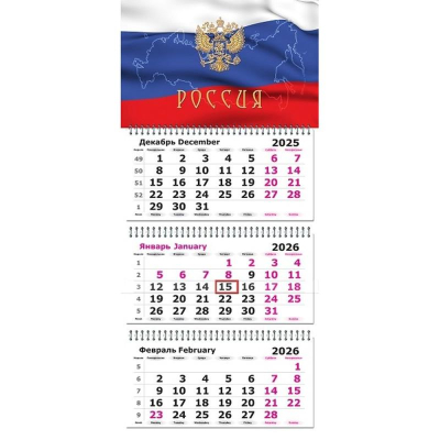 Календарь настенный 2026 квартальный 3-блочный 30х67см 'Госсимволика' на гребне