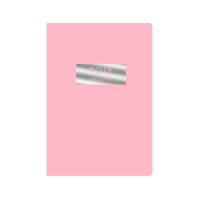 Тетрадь A5  48л клетка на скрепке Listoff® картонная обложка Soft touch фольга серебро 'Rose Quartz'