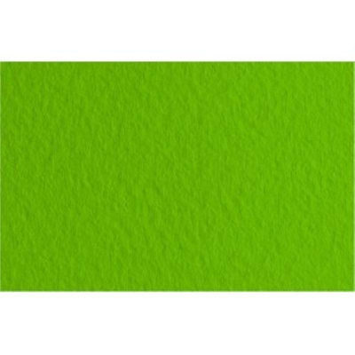 Бумага для пастели Fabriano Tiziano 50х65см  160г фисташковая 40% хлопок среднее зерно