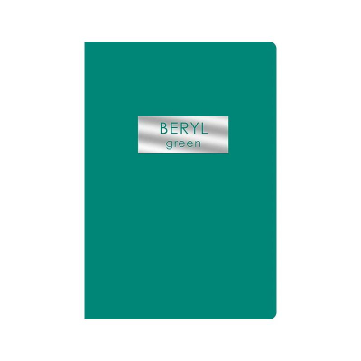 Тетрадь A5  48л клетка на скрепке Listoff® картонная обложка Soft touch фольга серебро 'Beryl Green'