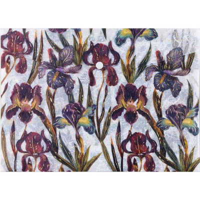 Папка-конверт на кнопке A4 BrunoVisconti® пластиковая 180мкм 'Flora' Ирисы