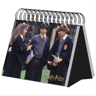 Календарь-шалашик 19х15см 'Вселенная Harry Potter. Гарри Поттер' на гребне в коробке