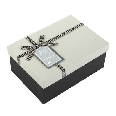 Коробка подарочная прямоугольная 22.5x16x9.5см Stilerra белая