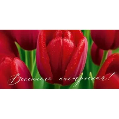 Конверт для денег Империя поздравлений 'Весеннего настроения'