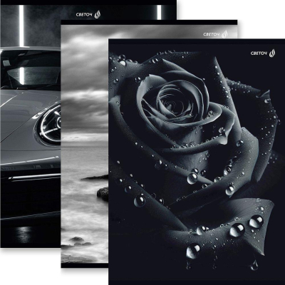 Тетрадь A4&nbsp;&nbsp;48л клетка на скрепке Светоч картонная обложка 'Магия чёрного' 3 дизайна