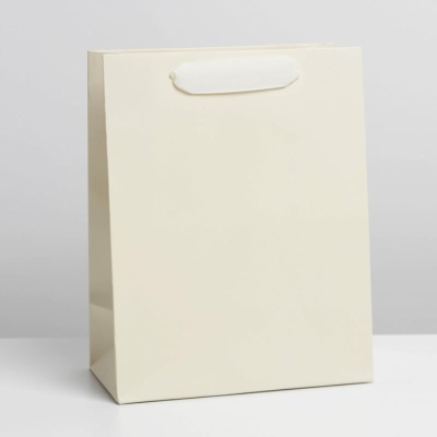 Пакет подарочный 18х23х10см ламинированный 'Молочный'