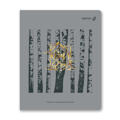 Тетрадь предметная A5&nbsp;&nbsp;48л линейка Светоч Архивариус Русский язык 