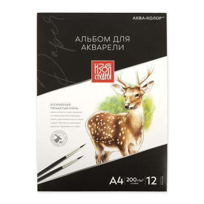 Альбом для акварели Аква-колор Изостудия 21х30см 200г 12л на склейке с трех сторон