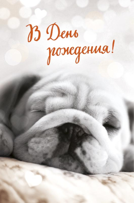 Открытка A&D 121х183мм В День Рождения!