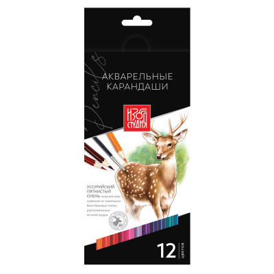 Карандаши акварельные Аква-колор Изостудия 12цв в картонной коробке