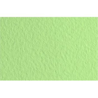 Бумага для пастели Fabriano Tiziano 50х65см  160г зеленая светлая 40% хлопок среднее зерно