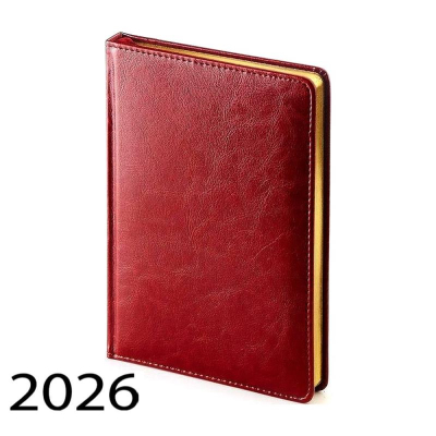 Ежедневник 2026 A5 BrunoVisconti® 'Sidney Nebraska' 336стр твердая обложка искусственная кожа бордовый