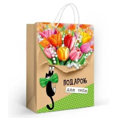 Пакет подарочный 22х31см ламинированный 'Подарок для тебя'