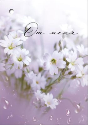 Бирка Праздник 'От меня' 77х106мм