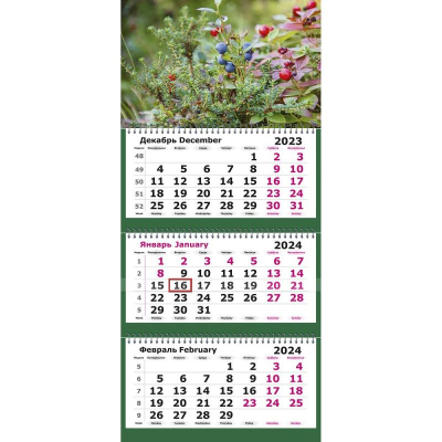 Календарь настенный 2024 квартальный 3-блочный 30х67см 'Дикие ягоды' на гребне