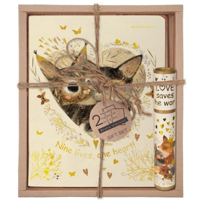 Набор ручка шариковая 'DreamWrite' в тубе +тетрадь 2шт BrunoVisconti® 'Love me' Котики