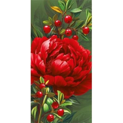 Конверт для денег Мир Поздравлений без надписи