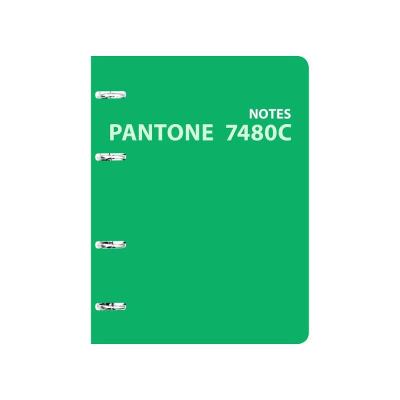 Тетрадь A5 120л клетка на кольцах Listoff® твердая матовая обложка выборочный лак 'Pantone line. Color 8'
