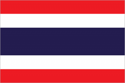 Флажок государства Тайланд 20х10см