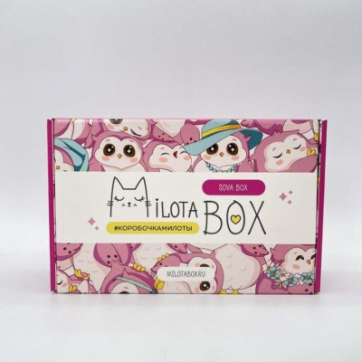 Подарочный набор-сюрприз MilotaBox 'Sova Box'