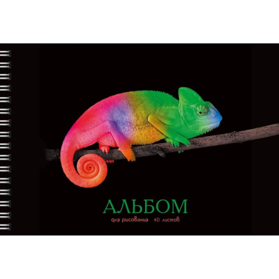 Альбом для рисования A4&nbsp;&nbsp;40л 120г на гребне Listoff® обложка твин-лак конгрев 'Хамелеон'
