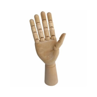 Модель Рука женская правая 25см деревянная