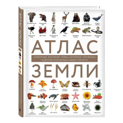 Книга 'Атлас Земли. Животные, растения, грибы, бактерии, минералы и другие сокровища нашей планеты' Регина Михайлова