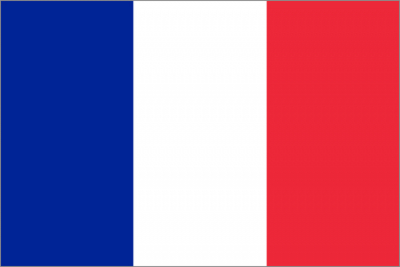 Флажок государства Франция 20х10см