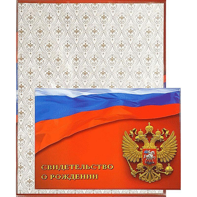 Папка адресная 'Свидетельство о рождении' deVENTE 'Флаг и герб РФ' нового образца со сгибом