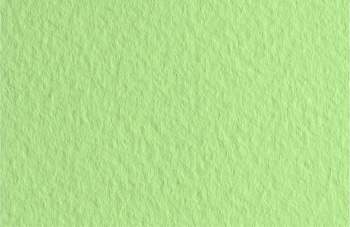 Бумага для пастели Fabriano Tiziano A4  160г зеленая светлая 40% хлопок среднее зерно