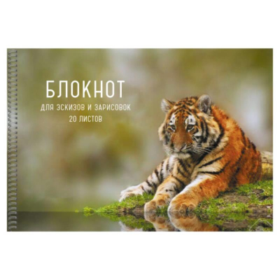 Блокнот для эскизов Unnika land® 21х30см  80г 20л на гребне 'Тигр'