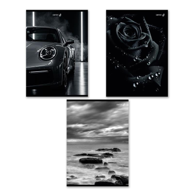 Тетрадь A4&nbsp;&nbsp;48л клетка на скрепке Светоч картонная обложка 'Магия чёрного' 3 дизайна