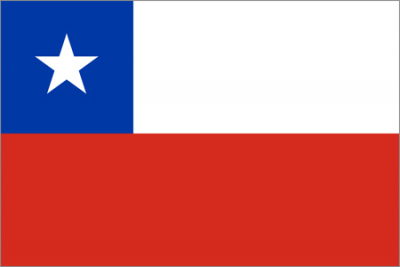 Флажок государства Чили 20х10см