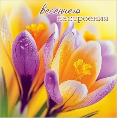 Бирка для упаковки картонная 70х70мм 'Весеннего настроения'