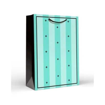 Пакет подарочный 22х31см ламинированный 'Пакет мятный'