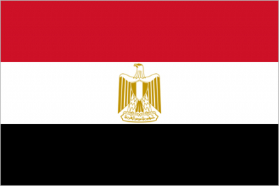 Флажок государства Египет 20х10см