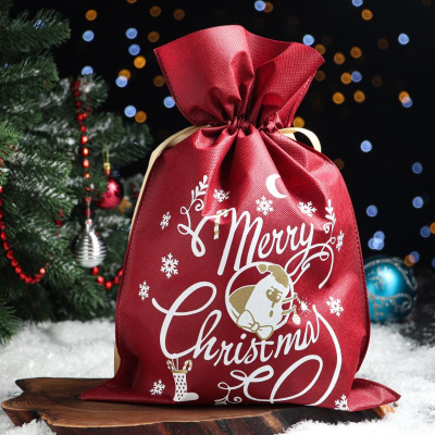 Мешок подарочный новогодний 30х45см 'Время чудес'