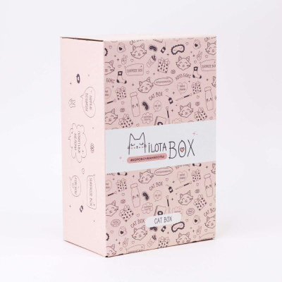 Подарочный набор-сюрприз mini MilotaBox 'Cat'